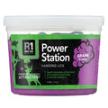 Power Station Wildlife Attractant Lick