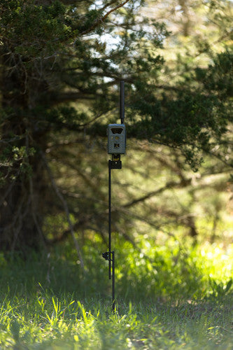 Stic N Pic The Mini Ground Mount